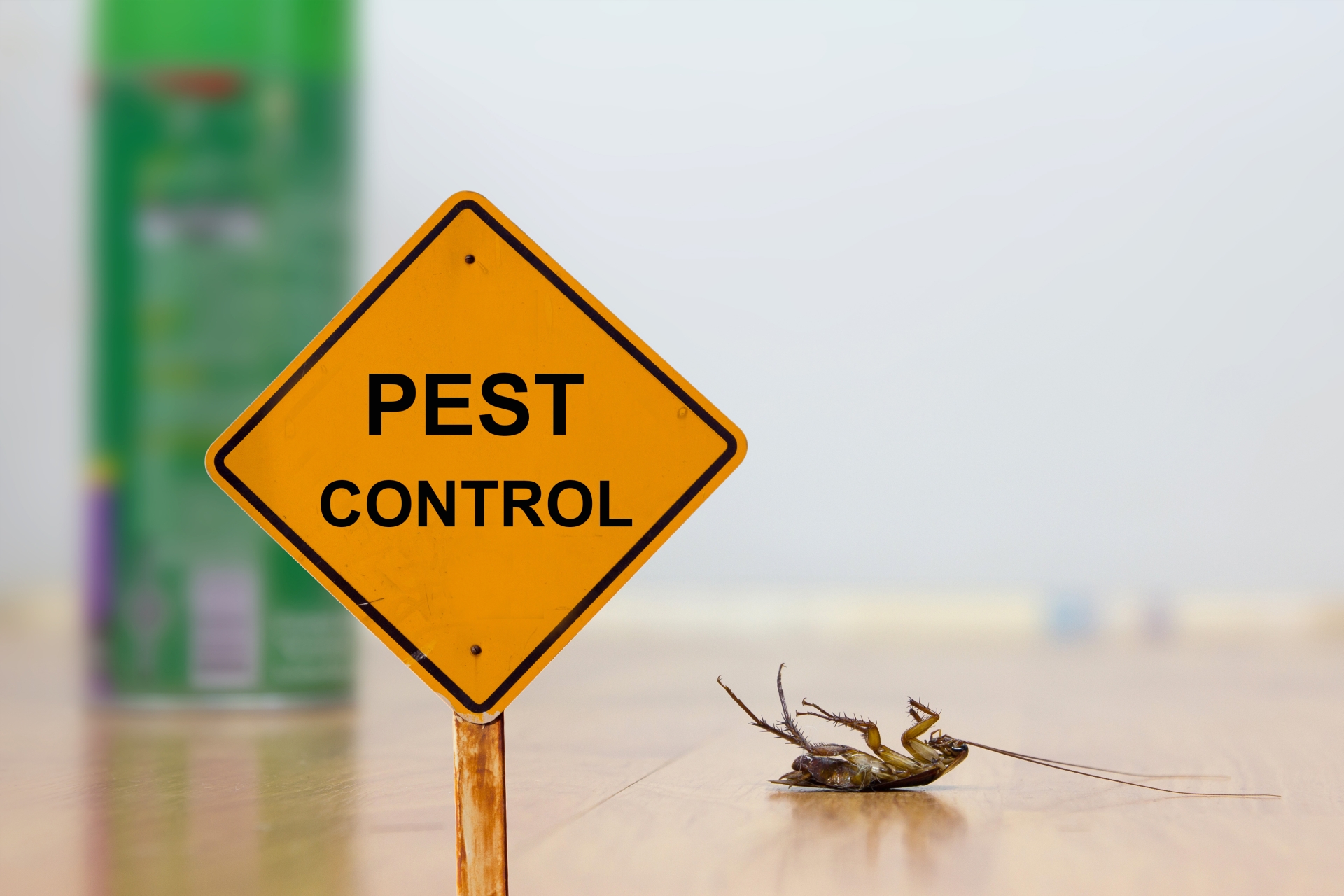 24 Hour Pest Control, Pest Control in Stanwell, Stanwell Moor, TW19. Call Now 020 8166 9746