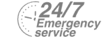 24/7 Emergency Service Pest Control in Stanwell, Stanwell Moor, TW19. Call Now! 020 8166 9746
